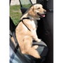 Nayeco Arnés X Coche Negro para Perro, Seguridad Ajustable 25 mmx24-45 cm, 25 mmx26-60 cm