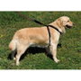 Nayeco Arnés X Coche Negro para Perro, Seguridad Ajustable 25 mmx24-45 cm, 25 mmx26-60 cm