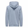 Sudadera con Capucha Hombre Only & Sons Onsceres Eventide Agua 124 Vibrant