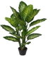 DKD Home Decor Planta Dieffenbachia Verde Negro 75 x 72 x 120 cm (2 Unidades)
