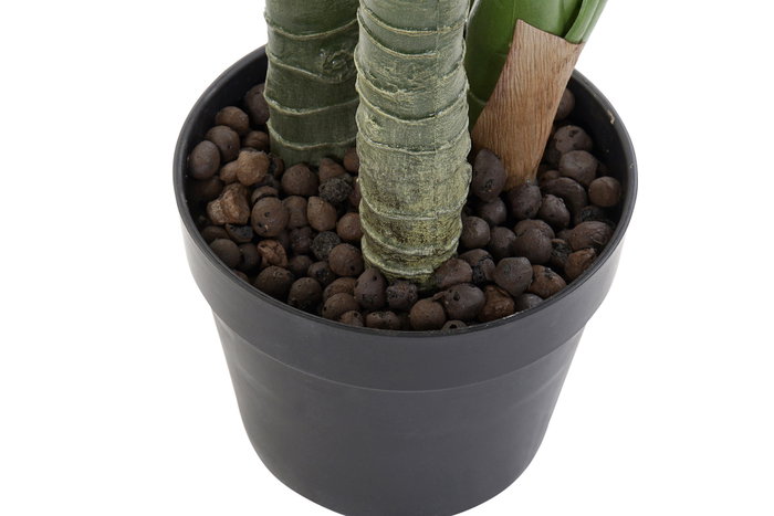 DKD Home Decor Planta Dieffenbachia Verde Negro 75 x 72 x 120 cm (2 Unidades)