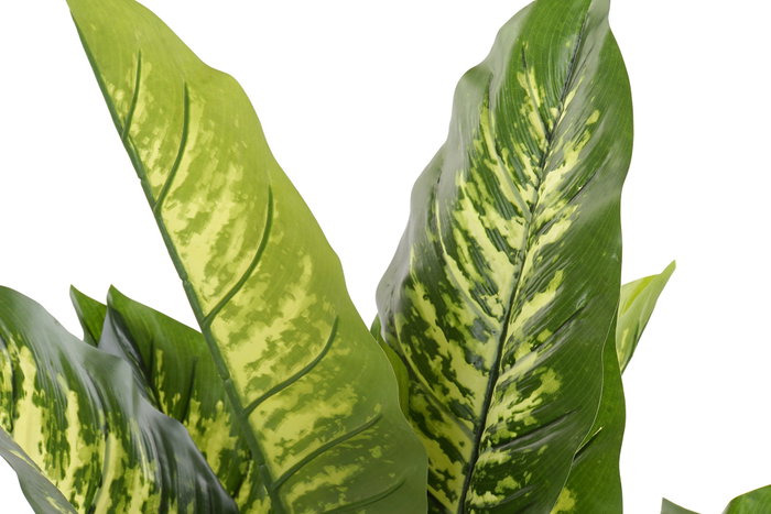 DKD Home Decor Planta Dieffenbachia Verde Negro 75 x 72 x 120 cm (2 Unidades)