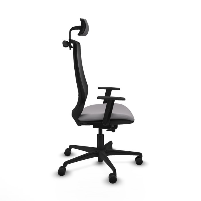 PIQUERAS Y CRESPO Silla de oficina Mardos con mecanismo Sincro/Traslack, Gris y Negro PIQUERAS Y CRESPO Silla de oficina Mardos con mecanismo Sincro/Traslack, Gris y Negro