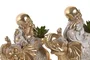 DKD Home Decor Planta Resina Monje Surtido de 2 unidades