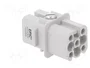 LAPP EPIC H-D Plantilla de contacto hembra HDC 8 PIN