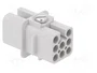 LAPP EPIC H-D Plantilla de contacto hembra HDC 8 PIN