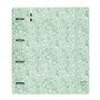 Safta Carpeblock PP Foam Carpeta de Anillas con Recambio Floral Verde Claro