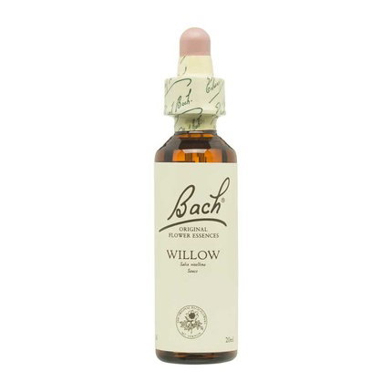 Bach Willow (Sauce) Nº38 20ml Bach Willow (Sauce) Nº38 20ml