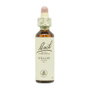 Bach Willow (Sauce) Nº38 20ml