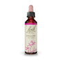 Bach Original Willow/Sauce Nº38 20ml