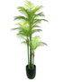 DKD Home Decor Planta de Palmera Verde con Base de Cemento 100x100x235 cm