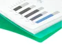 Liderpapel Carpeta de escaparate con 40 fundas DIN A4 Verde manzana