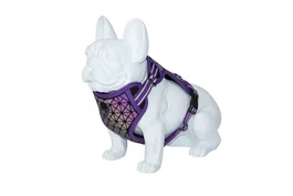 Freedog Arnés Boreal Lila 25 mm Cuello 43-65 cm Pecho 45-90 cm