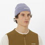 Gorro Deportivo Salomon LC2631100 Gris Talla única