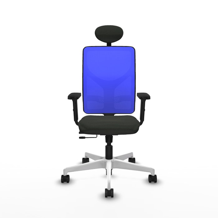 PIQUERAS Y CRESPO Silla de oficina Motilla con mecanismo Sincro/Traslack, Negro y Azul PIQUERAS Y CRESPO Silla de oficina Motilla con mecanismo Sincro/Traslack, Negro y Azul