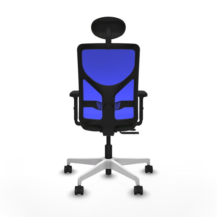 PIQUERAS Y CRESPO Silla de oficina Motilla con mecanismo Sincro/Traslack, Negro y Azul PIQUERAS Y CRESPO Silla de oficina Motilla con mecanismo Sincro/Traslack, Negro y Azul