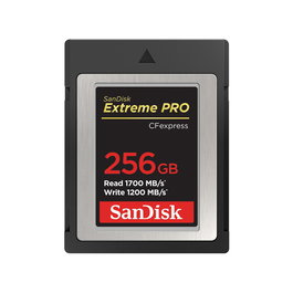 SanDisk Tarjeta de Memoria Extreme Pro CFexpress 256 GB SDCFE-256G-GN4NN, 1700 MB/s Lectura, 1200 MB/s Escritura, Negro