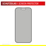 Displex 02016 Protector de Pantalla de Privacidad de Vidrio Templado 10H para Apple iPhone 16, Filtro de Privacidad, Anti-Huellas, Aplicacion en Seco, 1 Pieza