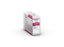 Epson T8503 Cartucho de Tinta Magenta Vivo 80 ml para SureColor SC-P800