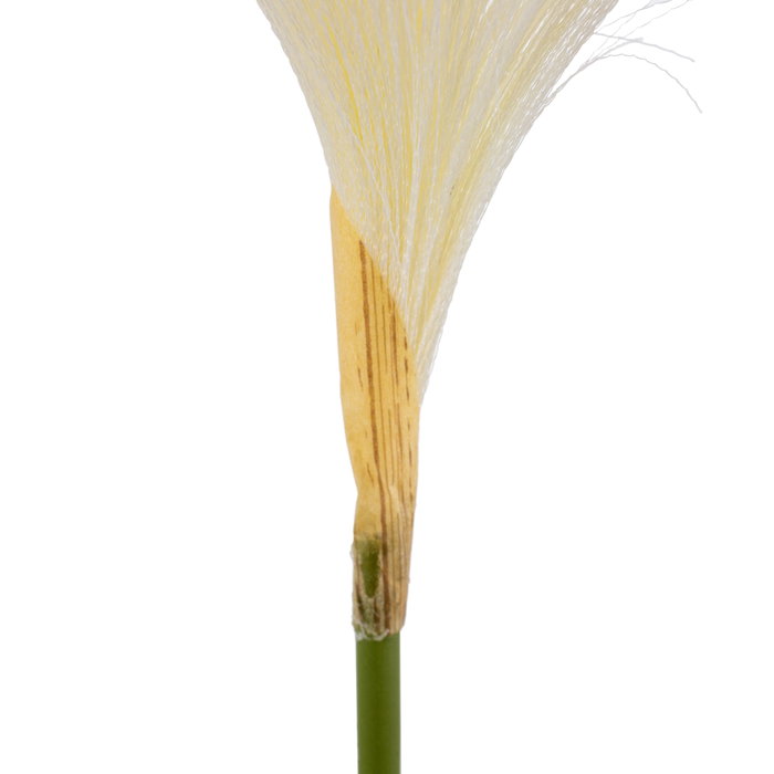 Ixia Rama de Junco Blanco Artificial Decoración 25 x 12 x 108 cm