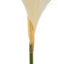 Ixia Rama de Junco Blanco Artificial Decoración 25 x 12 x 108 cm