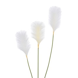 Ixia Rama de Junco Blanco Artificial Decoración 25 x 12 x 108 cm