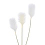 Ixia Rama de Junco Blanco Artificial Decoración 25 x 12 x 108 cm