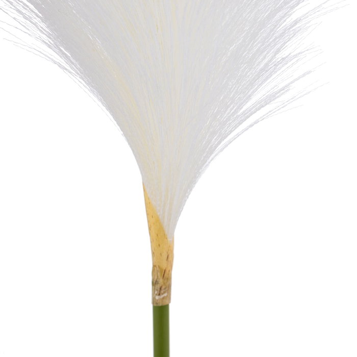 Ixia Rama de Junco Blanco Artificial Decoración 25 x 12 x 108 cm