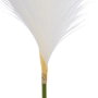 Ixia Rama de Junco Blanco Artificial Decoración 25 x 12 x 108 cm