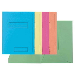 Exacompta Paquete de 50 subcarpetas de 2 solapas, 210g, 5 colores surtidos