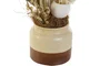 DKD Home Decor Planta de Cerámica con Flor Seca Surtido de 3 Piezas