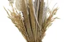 DKD Home Decor Planta de Cerámica con Flor Seca Surtido de 3 Piezas