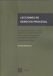 COMARES, LECCIONES DERECHO PROCESAL PROCESO CIVIL EJECUCION - LECCIONES DERECHO PROCESAL. (ESTUDIOS DERECHO PROCESAL)