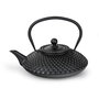 Bredemeijer Xilin Tetera de Hierro Fundido 1,25l Negro G002ZW