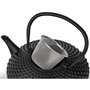 Bredemeijer Xilin Tetera de Hierro Fundido 1,25l Negro G002ZW