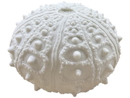 DKD Home Decor Lámpara de Sobremesa Arenisca Erizo Crudo