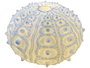 DKD Home Decor Lámpara de Sobremesa Arenisca Erizo Crudo