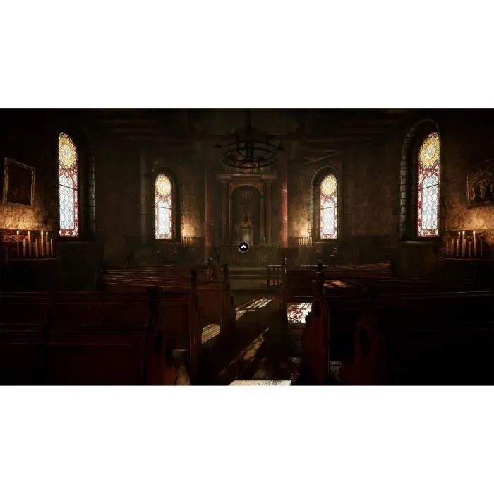 Microids The Amerzone: El Testamento del Explorador Juego PS5