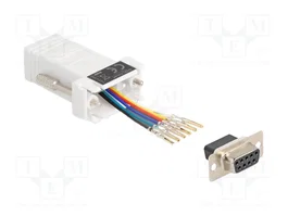 DeLOCK 67078 Adaptador D-Sub 9 Hembra a RJ12 Hembra Blanco