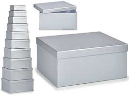 Pincello Set 10 Cajas de Cartón Color Plata 37.5x29x16.5 cm (Set de 2)