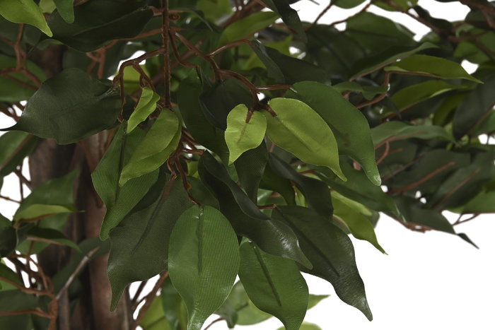 DKD Home Decor Planta Artificial Ficus 2, 70 x 191 x 70 cm, Verde y Marrón, Set de 2 Unidades