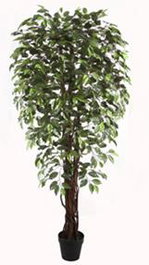 DKD Home Decor Planta Artificial Ficus 2, 70 x 191 x 70 cm, Verde y Marrón, Set de 2 Unidades