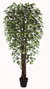 DKD Home Decor Planta Artificial Ficus 2, 70 x 191 x 70 cm, Verde y Marrón, Set de 2 Unidades