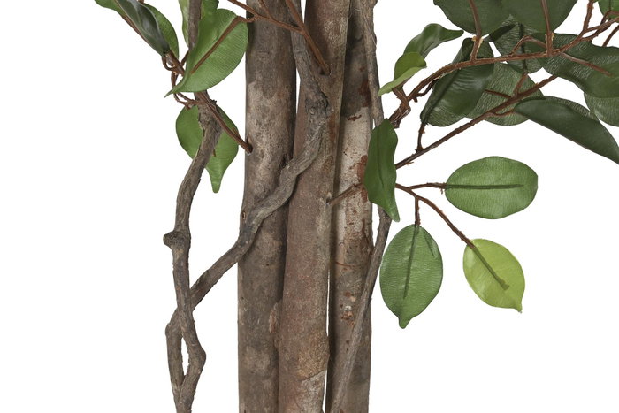 DKD Home Decor Planta Artificial Ficus 2, 70 x 191 x 70 cm, Verde y Marrón, Set de 2 Unidades
