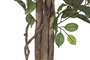 DKD Home Decor Planta Artificial Ficus 2, 70 x 191 x 70 cm, Verde y Marrón, Set de 2 Unidades