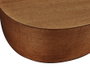 Richwood A-50-E Guitarra Acústica Auditorium de Caoba