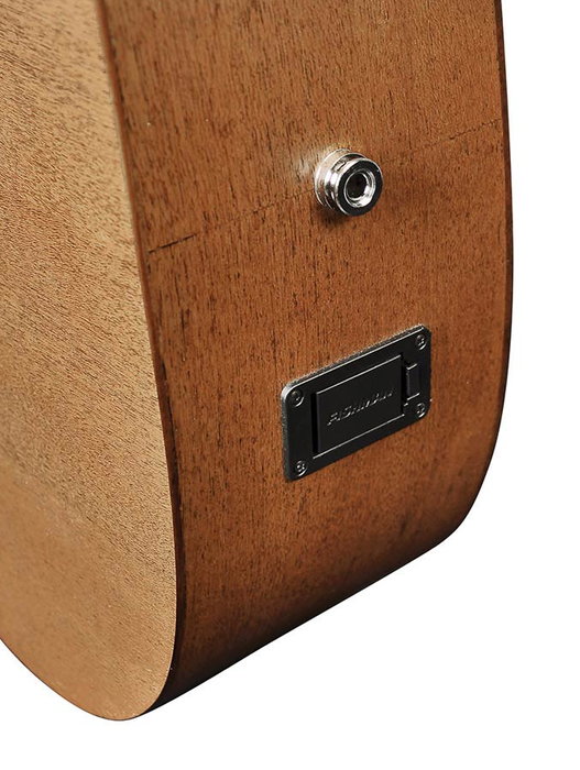 Richwood A-50-E Guitarra Acústica Auditorium de Caoba
