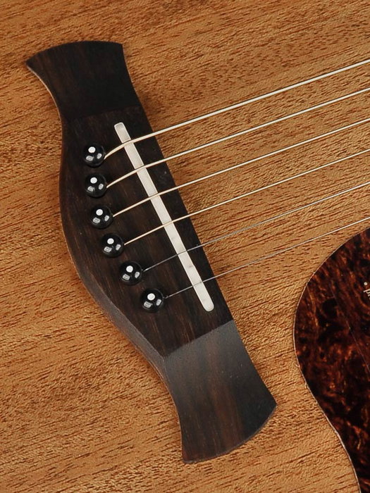 Richwood A-50-E Guitarra Acústica Auditorium de Caoba