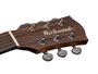Richwood A-50-E Guitarra Acústica Auditorium de Caoba