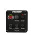 Richwood A-50-E Guitarra Acústica Auditorium de Caoba